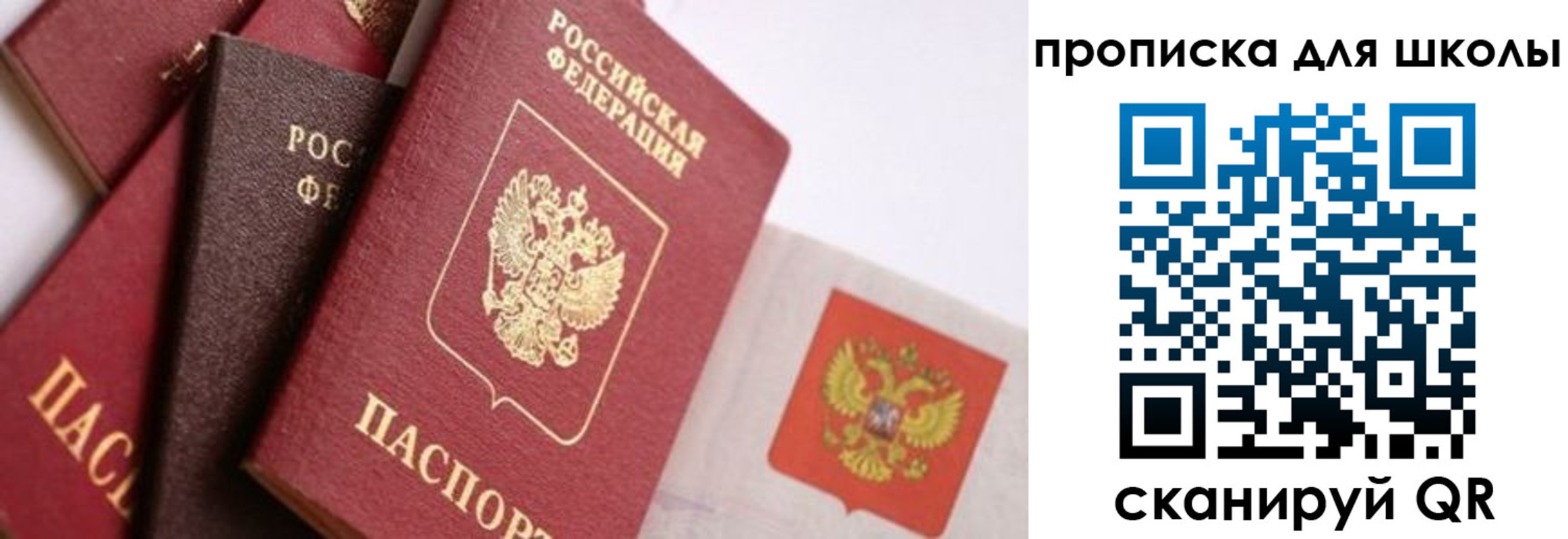прописка поиск в Киржаче